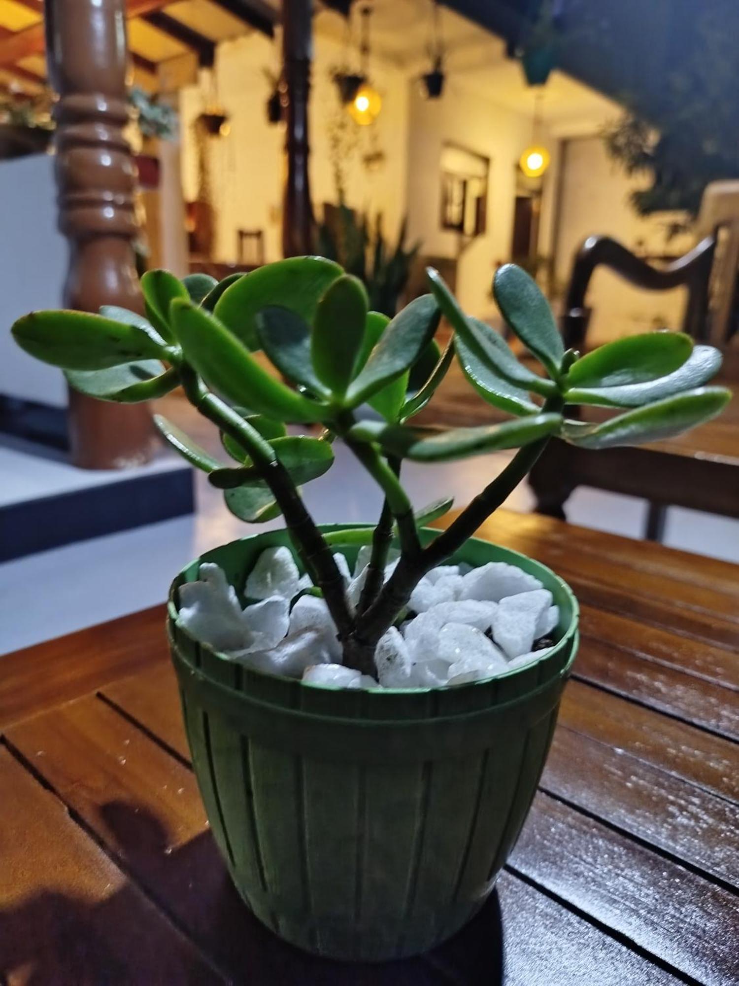 Little Villa Guest House 阿杭格默 外观 照片